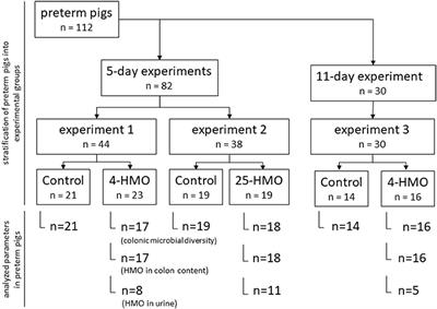 Metabolism of Milk Oligosaccharides in Preterm Pigs Sensitive to Necrotizing Enterocolitis